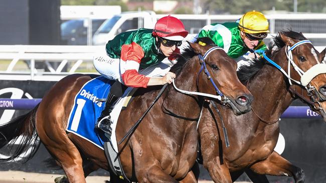 Amelia's Jewel wins the Let's Elope Stakes at Flemington. Picture: Brett Holburt-Racing Photos