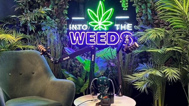 A ‘Dark Green alien head medicinal cannabis bong,’ worth $100, declared on Legalise Cannabis MP Jeremy Buckingham's gift register. Picture: Supplied