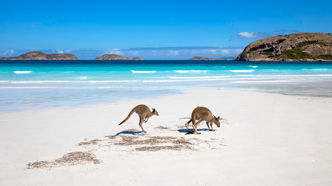 Score seats across Australia from $29 at Trip.com. Picture: iStock