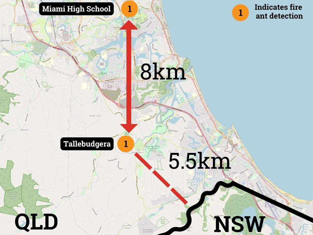 Red fire ants may cross from Queensland to New South Wales: Invasive ...