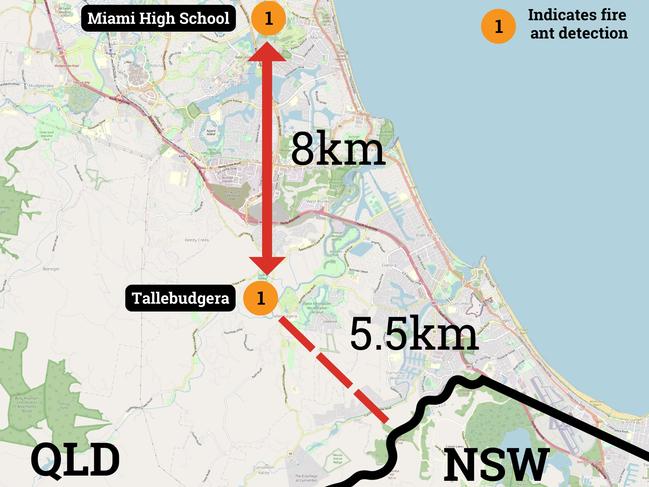 The Tallebudgera fire ant outbreak is just 5.5km from the NSW border and 8km further south than the recent Miami High School outbreak. Picture: National Red Imported Fire Ant Eradication Program vis the Invasive Species Council