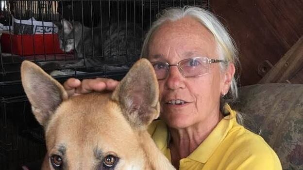 Repeat animal cruelty offender and Happy Paws Haven shelter operator Sally Rogers, 69. Picture: Facebook.