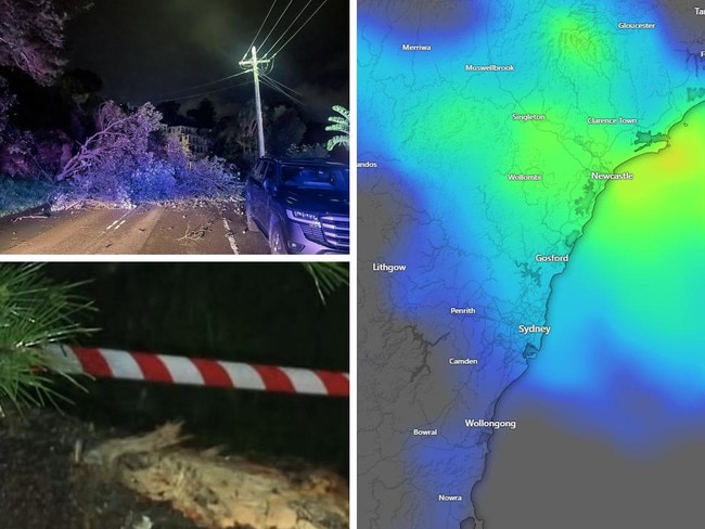 Trees have been torn up, roads flooded, and hundreds of calls for help made as wild weather smashed Sydney and parts of NSW, with warnings more is on the way.