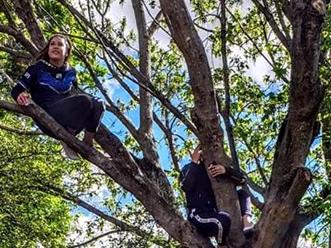 Two girls stuck up a tree in a backyard in Ingleburn.