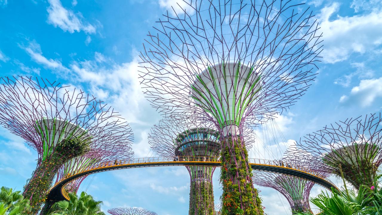 Singapore Supertrees in Garden by the Bay are a great place to explore. Picture: iStock