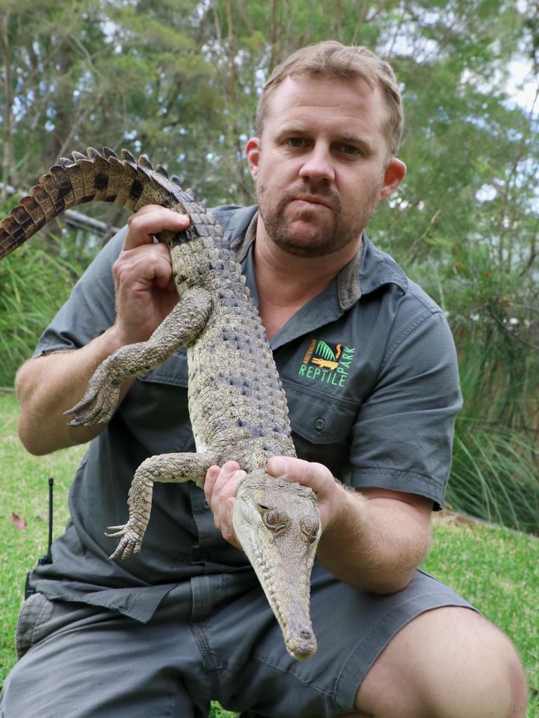 Freshwater crocodile found in suburban backyard | KidsNews