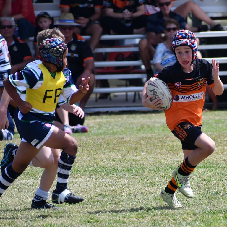 Dean Schifilliti Shield U8 rugby league festival in Ingham: Photographs ...