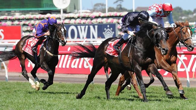 Mount Athos (left) finishes behind Fiorente and Red Cadeaux in the Melbourne Cup. Picture: Getty Images 