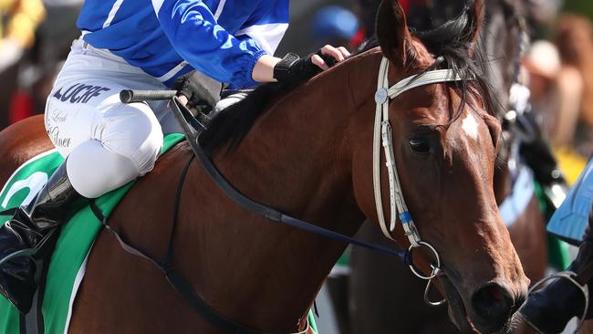 Elixir ridden by Leah Kilner wins race 3  at The Gold Coast Turf Club.Photograph : Jason O'Brien