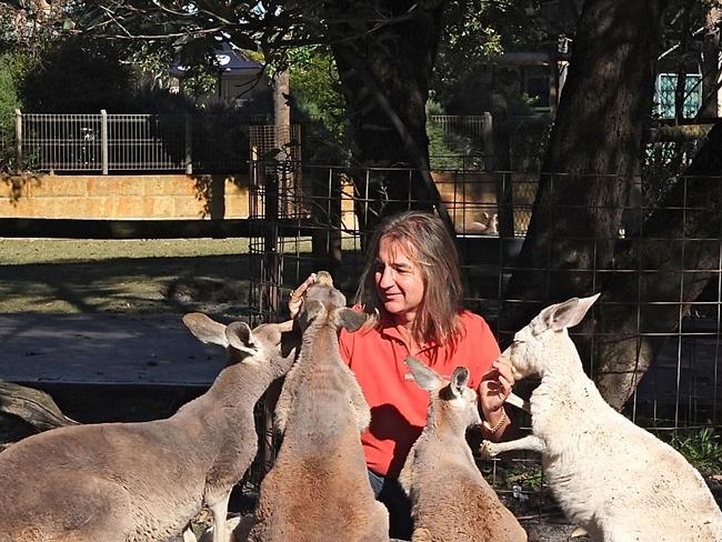 He even has a special touch with the animals. Picture: Braco.net