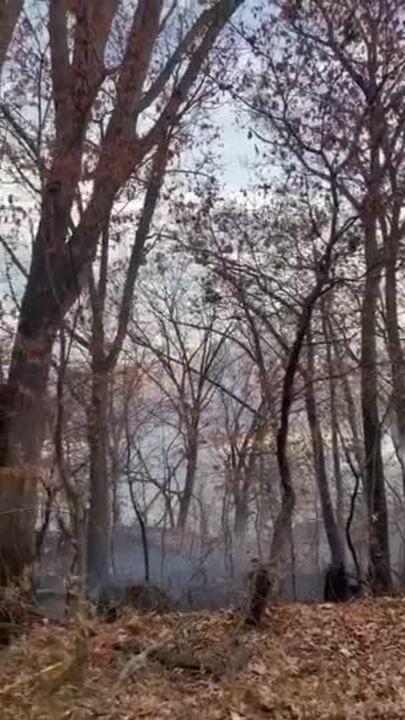 Crews Fight Brush Fire in Upper Manhattan Amid 'Unprecedented' Drought