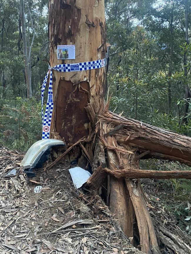 The tree Mr Wilson crashed into. Picture: Facebook/Can you help us find Gage