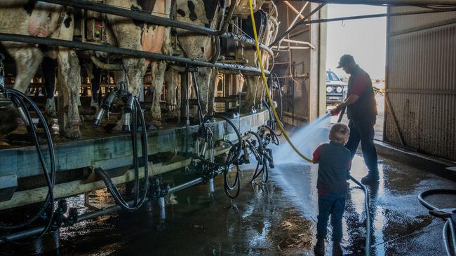 The Raphael family milk 1000 Holstein cows on their Glen Eden Holstein operation on the outskirts of Muswellbrook in NSW. Doug and Jayden Raphael in the dairy. Picture: KATRINA PARTRIDGE