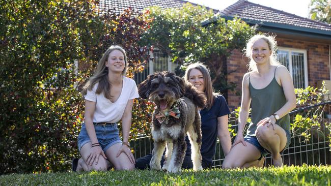 Linda Jenkins with her bordoodle (poodle x border collie) dog Audrey and 19-year-old twin daughters Alanah (green top) and Sophie (white top). Picture: Mark Cranitch