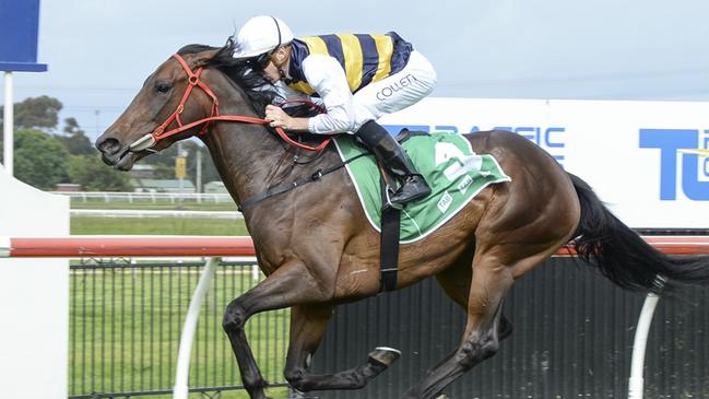 Principessa can break through for a well-earned win at Randwick-Kensington on Wednesday. Picture: Bradley Photos