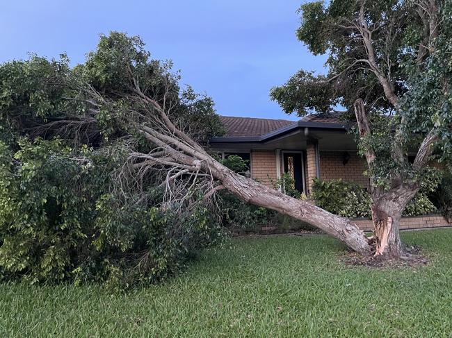 Tony and Jan Bell from Mount Pleasant got a shock on Christmas Day when they went outside after a freak storm and saw a tree in their front yarn had fallen onto their house. Picture: Janessa Ekert