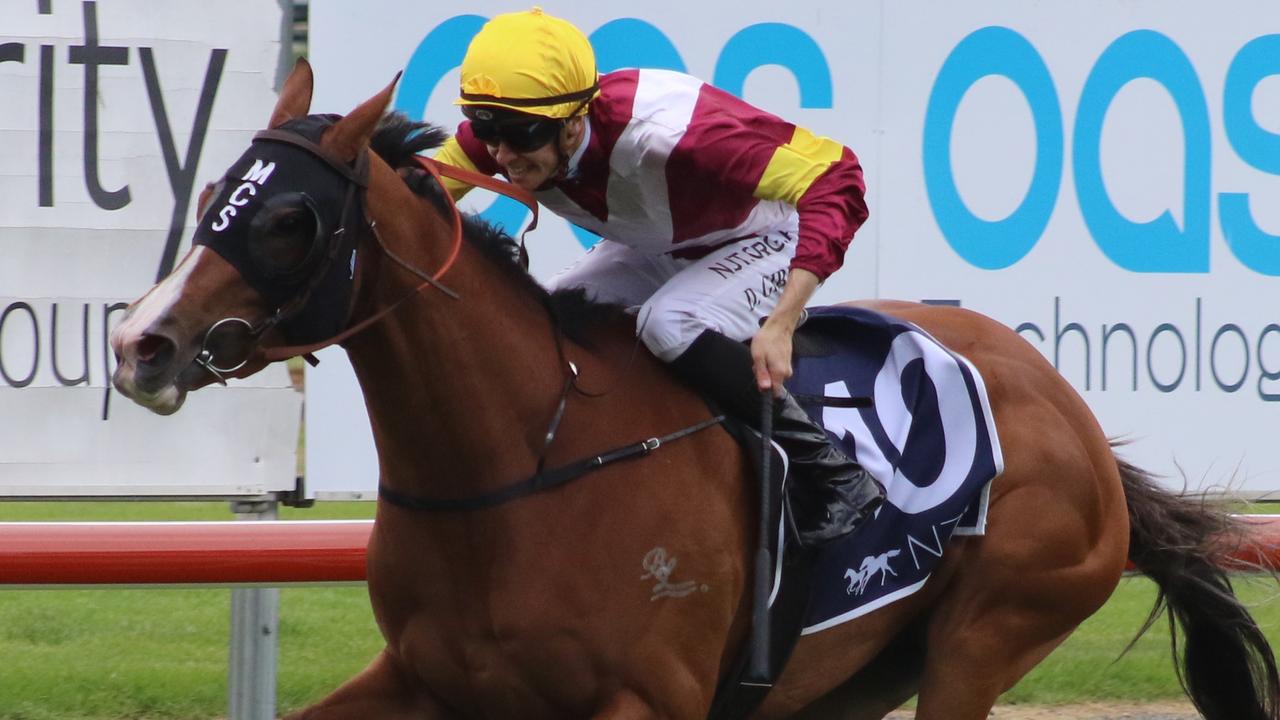 Festival Dancer has been well supported in race 5 at Rosehill. Picture: Grant Guy