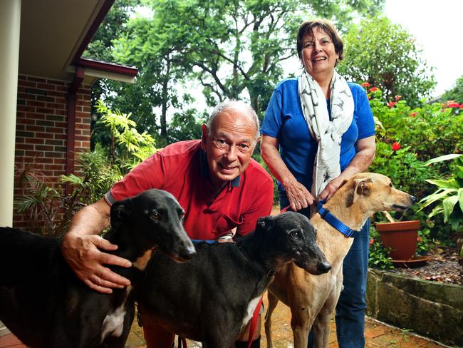 Greyhound Rescue founders Peter and Janet Flann. Picture: Richard Dobson.