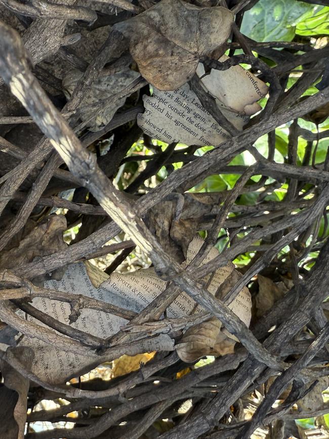 Ben Rigby discovers charred pages from his books in a hedge at the site of his apartment destroyed in the Palisades wildfire.