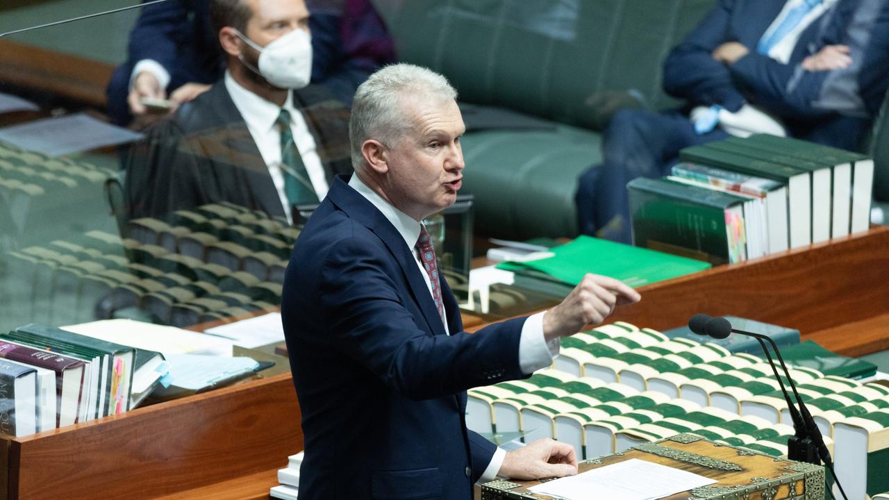 Tony Burke stressed Labor’s vote against the motion did not mean it was against banning Nazi symbols. Picture: NCA NewsWire / Gary Ramage