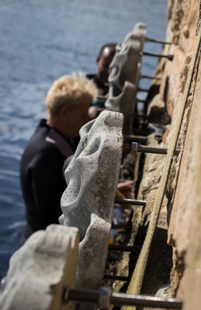 Members of the project team installing the panels of the seawall