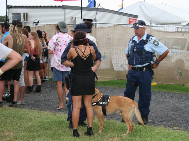 Police speak to revellers at the 2017 Mountain Sounds Festival. Picture: Lauren Riley