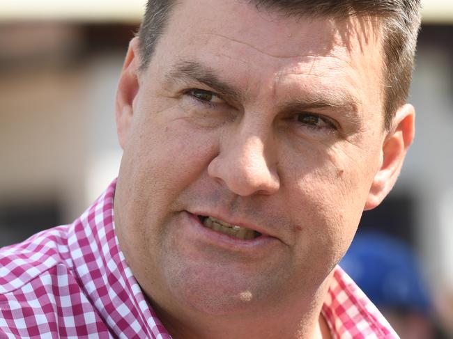 Connoisseur won the Sirromet Class 5 Plate at the Ipswich Racetrack on Wednesday afternoon. Trainer Chris Anderson.