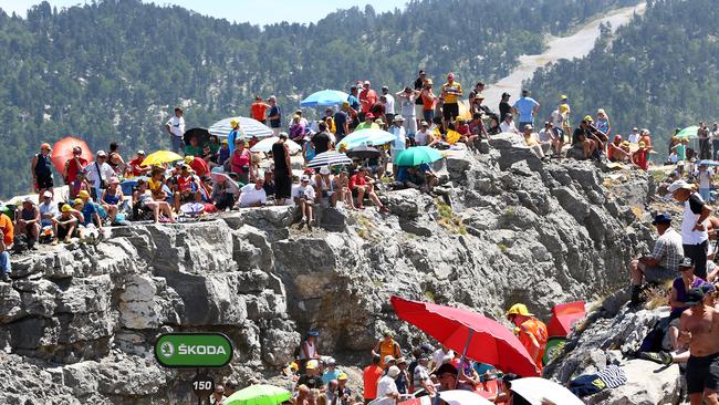 Tour de France spectators looking for a good advantage point.