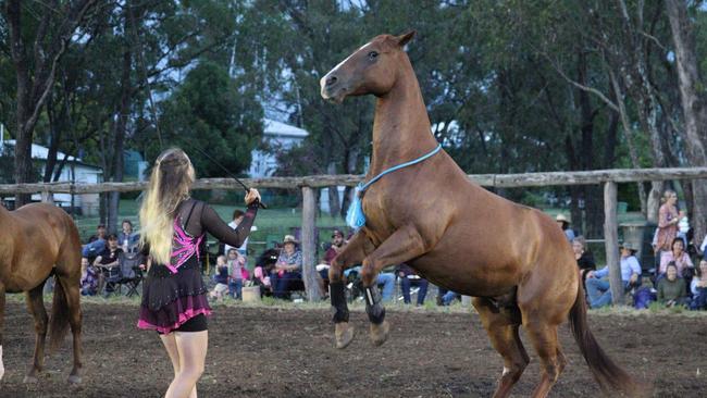 The show weekend will have 873 competition classes, with events such as the ‘new’ Extreme Horseman trials, which has had over 285 entries, cattle showing and judging, poultry and fresh produce judging, and a dog show with 170 entrants.