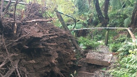 Damage at the 1000 Steps after the June 2021 storms.