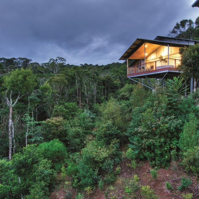 Fancy O`Reilly`s Rainforest Retreat for the festive season?