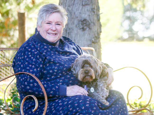 Jan Davis is running for council. Ms Davis is the CEO of RSPCA Tasmania. Picture: PATRICK GEE