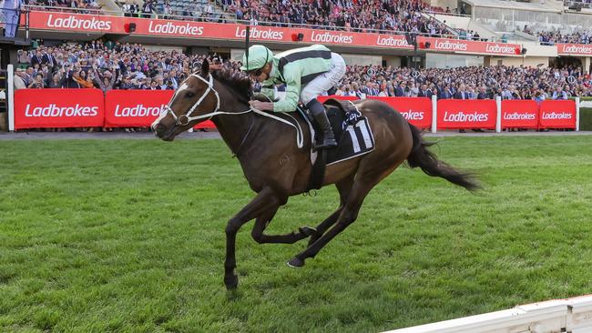 Francesco Guardi demolishes his rivals in last year’s Moonee Valley Gold Cup. Picture: Racing Photos via Getty Images