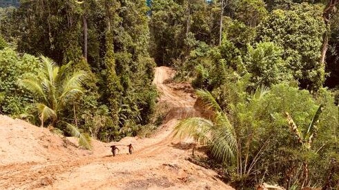 22km Road being made through thick, treacherous jungle conditions to Morris village in Nth Maprik