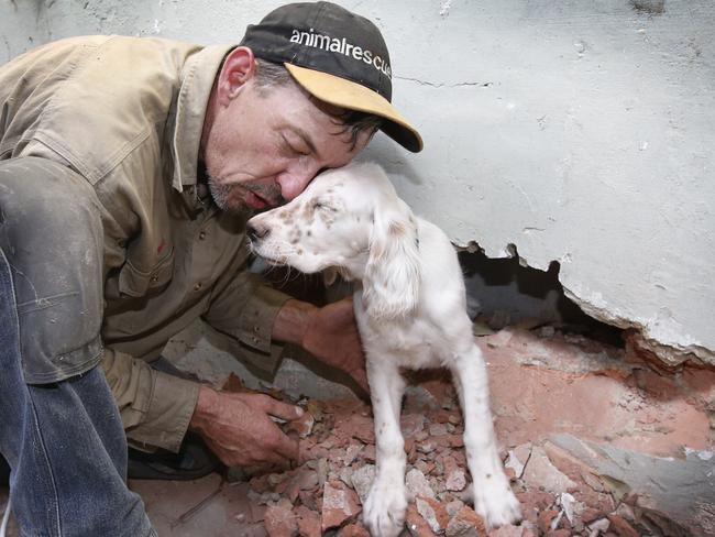 Nigel Williamson from Animal Rescue gets a thank you from Pixie. Picture: David Caird