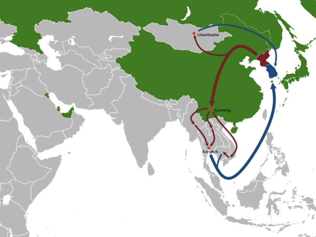 An estimated 33,000 North Koreans have fled their authoritarian homeland for the South, where they are entitled to citizenship and financial support after lengthy interviews with intelligence services. But most defectors flee the hermit kingdom northwards to China, where they face heightened risks of arrest and deportation. Picture: TJWG