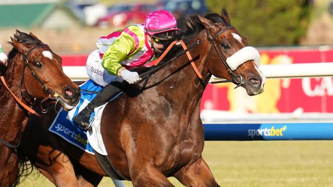 Marble Nine will step up to Group company in the Bletchingly Stakes on Saturday. Picture: Scott Barbour/Racing Photos via Getty Images