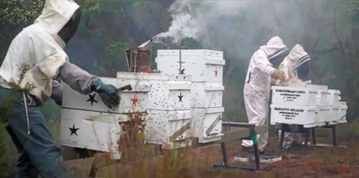 Goomboorian Gold beekeepers. Picture: Contributed
