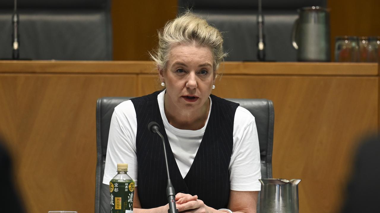 Senator McKenzie has flagged that Qantas‘s behaviour during the COVID-19 pandemic could also be examined. Picture: NCA NewsWire/Martin Ollman