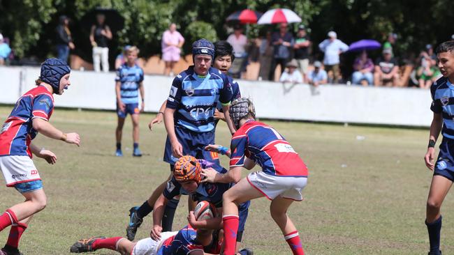 Action galleries of the junior rugby union grand finals, match played at Surfers Paradise Home Ground. Helensvale Hogs Vs Bond Uni Pirates under 14s division. Picture Mike Batterham