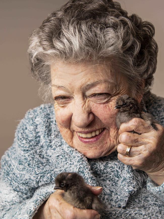 Marjorie O’Brien likes to take care of the newly hatched chicks. Picture: Nicole Cleary