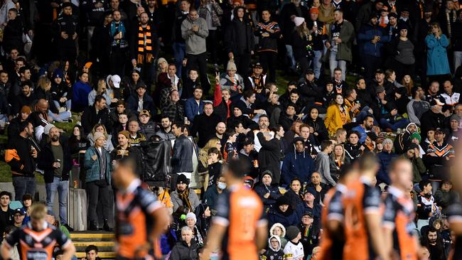 A Panthers fan has claimed Tigers fans were abusive and threw cans of beers at Penrith fans at Leichhardt Oval. Picture: NRL Photos.