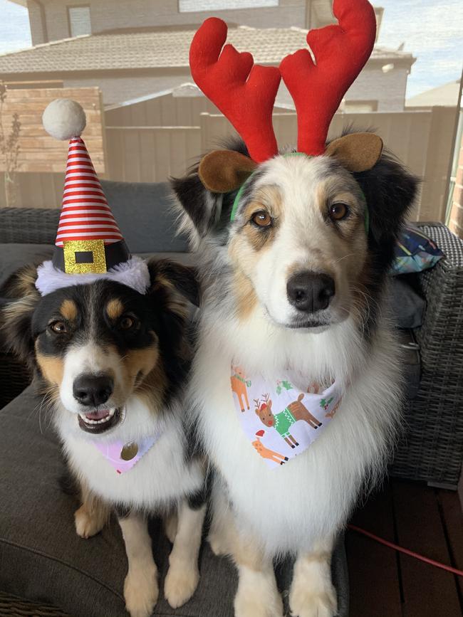 Bailey and Luna from Craigieburn. Picture: Tina Seckold