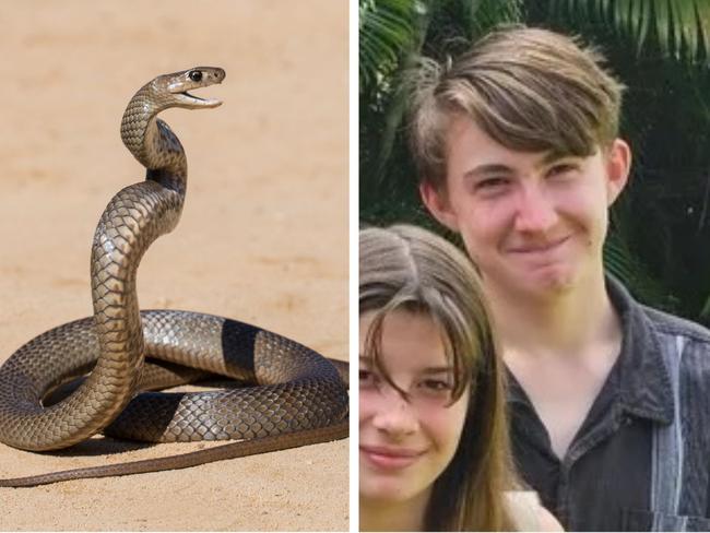 Teen dies after freak snake bite