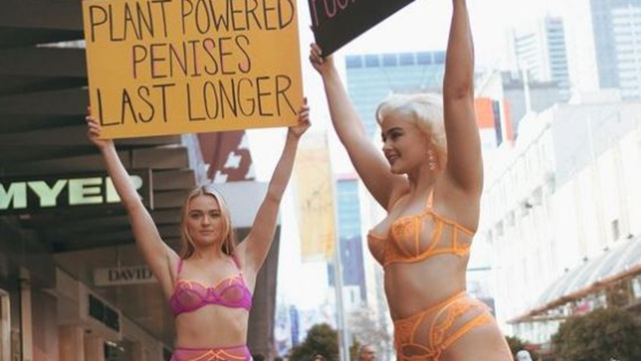 Tash Peterson: Vegan activist shares online abuse over lingerie