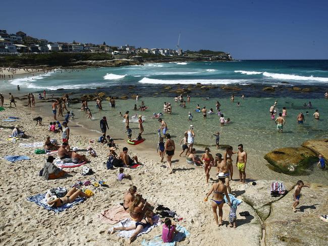 The Bogey Hole, Bronte Beach. Picture: John Appleyard