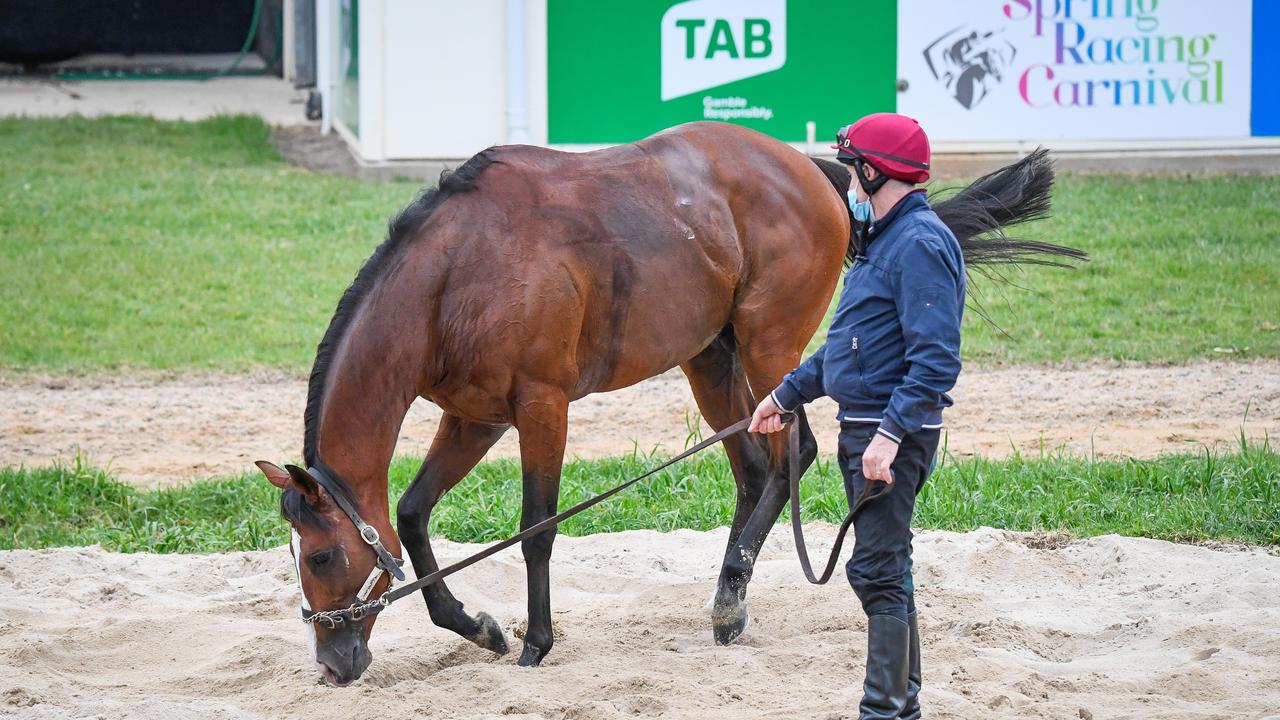 Werribee trackwork