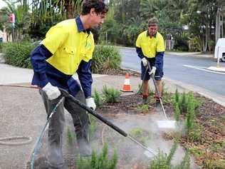 Byron Shire Council is using steam to rid their region of weeds, rather than glyphosate. Picture: Byron Shire Council