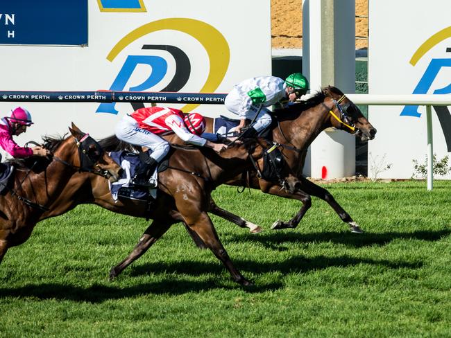 Jim Taylor said the winner was their second stringer as champion Barakey was the horse he was setting to win the Winterbottom Stakes but he was taken out after succumbing to a virus.