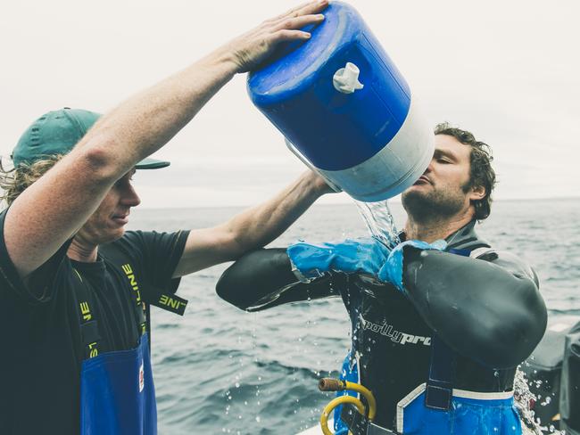 Abalone diver James Polanowski is helped by trusted deckhand Andrew Chisholm. Picture: STUART GIBSON